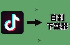 抖音最新破解版下载：轻松体验无广告视频乐趣
