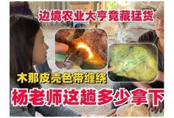 抖阴皮卡农：探秘当下最火的视频创作平台与玩法