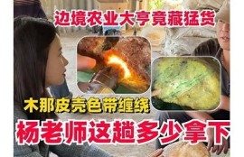 抖阴皮卡农：探秘当下最火的视频创作平台与玩法