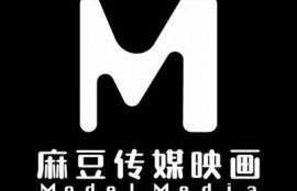 麻豆快传媒：引领新媒体时代的内容创作与传播