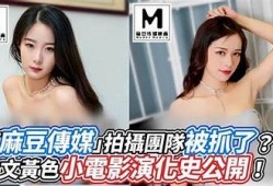 在线观看麻豆视传媒高清内容，畅享最新影视盛宴！