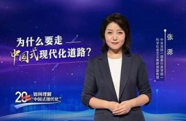 麻豆传媒杜律师与王先生深度对话：解析法律困难与行业现状