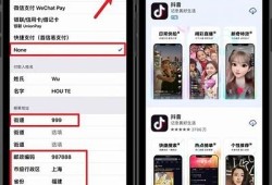 抖音苹果版本下载安装地址及使用指南，轻松快捷获取抖音体验！