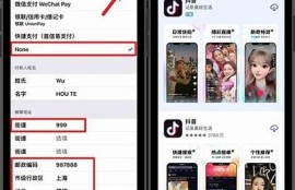 抖音苹果版本下载安装地址及使用指南，轻松快捷获取抖音体验！