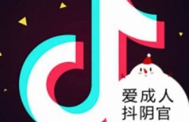 抖阴直播资源下载指南：高速Magnet链接分享