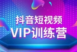 抖音VIP账号优化技巧，轻松提升视频曝光率与粉丝增长