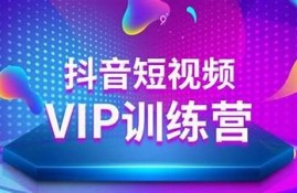 抖音VIP账号优化技巧，轻松提升视频曝光率与粉丝增长