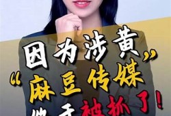 麻豆传媒公司揭秘：致力于新媒体内容创作与发展