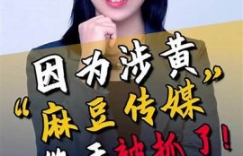 麻豆传媒公司揭秘：致力于新媒体内容创作与发展