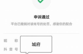 抖音十八禁内容解析：这些规则你绝不能忽视