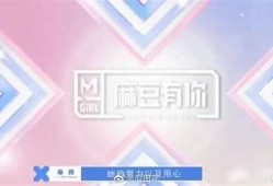 麻豆传媒是否真正运营？揭开背后的真实面纱