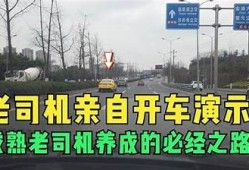 老司机导航：轻松畅游抖音，掌握热门视频技巧与秘籍