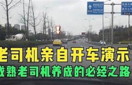 老司机导航：轻松畅游抖音，掌握热门视频技巧与秘籍