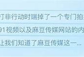 麻豆AV传媒出品：探索视觉与情感的极致结合