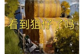 揭秘抖阴区：潜藏的秘密与热门话题完整解析