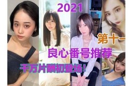 抖阴优化版：最新AV番号推荐与解析