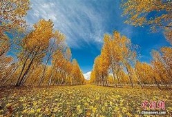 麻豆精东天美果冻传媒：探索最新影视佳作与热门话题分享