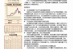 深入探讨麻豆传媒映画：行业动向与未来发展前景的独家采访