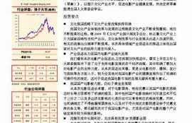 深入探讨麻豆传媒映画：行业动向与未来发展前景的独家采访