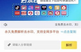 快猫抖阴APK下载：无与伦比社交体验与隐私保护