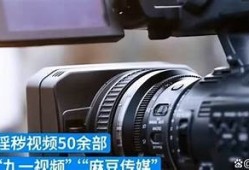 麻豆传媒映画APP是否安全？揭秘其潜在风险与使用注意事项