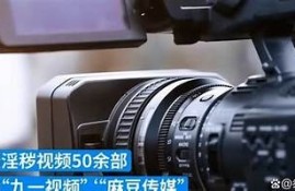 麻豆传媒迅雷资源助手：轻松获取最新影视资源，全网搜索一站搞定