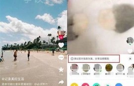 揭示危险抖阴软件的隐患与保护措施，保障个人信息安全