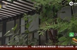 揭秘HPV转阴的真实案例：抖音视频分享成功经历