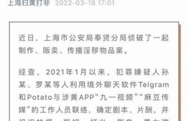 麻豆剧传媒司徒丹妮最新作品与个人生活揭秘