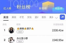 抖阴：第二个快手的崛起与未来发展走向调查