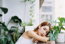 麻豆传媒兄弟蕉谈下载方法及注意事项详解