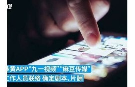 麻豆视频传媒因涉嫌违法被查，背后真相引发热议