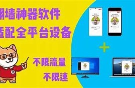 高效抖阴翻墙器工具推荐，轻松突破网络限制