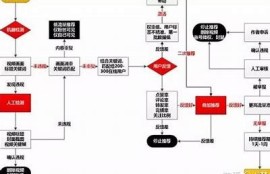 揭秘抖阴A：如何利用它完成短视频爆款变现