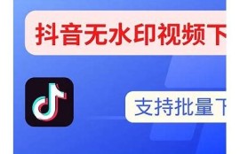 抖音VIP下载：轻松获取无限抖币的方法及攻略