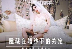 麻豆91传媒剪映姐弟：揭秘背后故事与精彩瞬间的完美结合