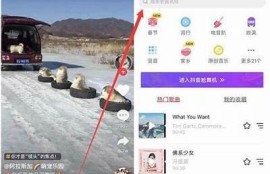 抖音直播iOS版使用指南：轻松开启你的直播之旅！
