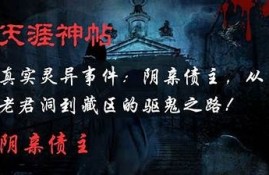 抖阴苏清士：揭秘其背后的故事与影响力研究