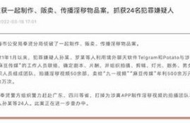 麻豆传媒是否会继续拍摄新作品？未来发展前景研究