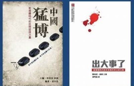 千层浪麻豆传媒：深入探讨数字内容的未来与方向