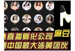麻豆传媒md0092精彩片段分享：青春热血的视觉盛宴