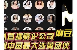 探索麻豆传媒豪华大车灯的魅力与功能，提升驾驶体验