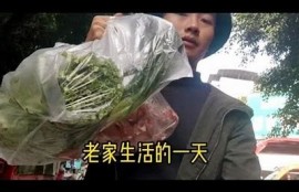抖音生活记录：分享我的日常点滴与有趣瞬间，与你一同见证成长之旅