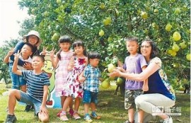 台湾麻豆文化传媒：精彩内容尽在你的指尖，快来探索！