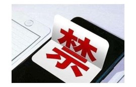 麻豆传媒沉心蕊：揭示背后的故事与成长历程