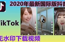 最新国际版抖音破解版免费下载，畅享无限精彩内容！