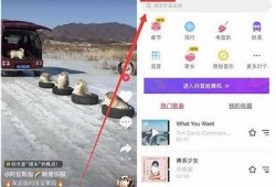 揭秘抖音无与伦比玩法：如何巧妙运用抖动阴影技巧提升视频点击率
