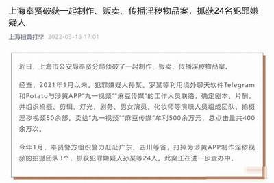 麻豆传媒经典之作：揭示摄影艺术与美的完美结合