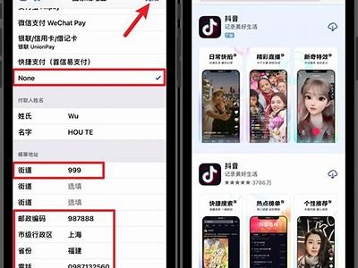 抖音苹果版本下载安装地址及使用指南，轻松快捷获取抖音体验！