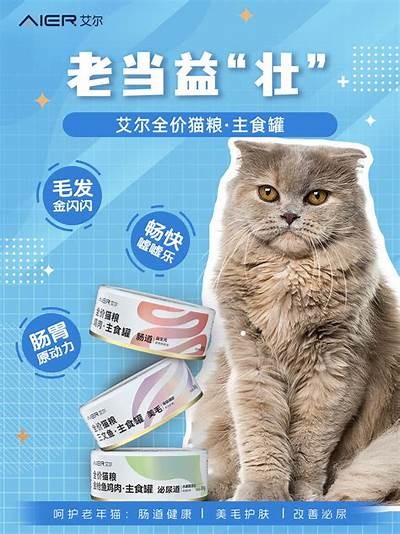 猫咪趣闻大揭密：你不知道的抖阴猫咪搞笑瞬间！